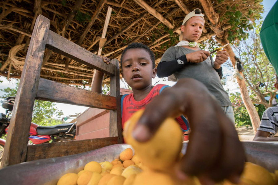 Cerrado Vivo chega a Samambaia na próxima semana com cultura, tradição e consciência ambiental 