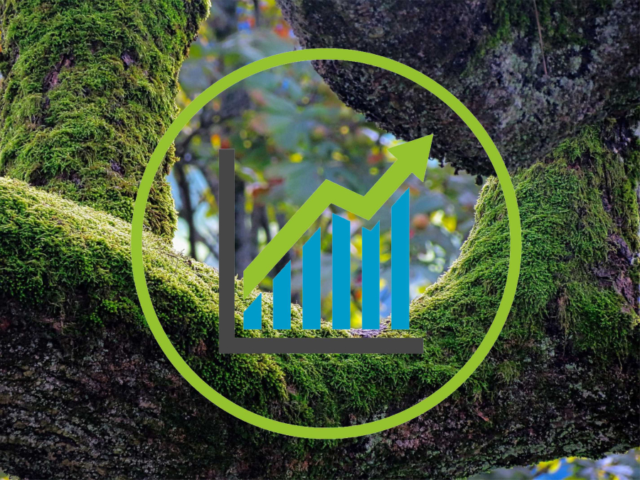Ranking da atuação socioambiental das maiores seguradoras do Brasil será lançado nesta quinta-feira